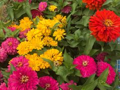 -南宫温泉水世界