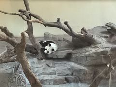 -宁波野生动物园