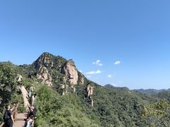 -大岭沟猕猴桃谷风景区