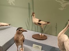 -陕西自然博物馆