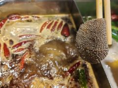 -好得火锅(育才店)