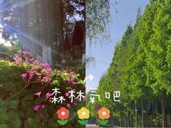 -太阳岛度假酒店