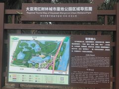 -大亚湾红树林城市湿地公园