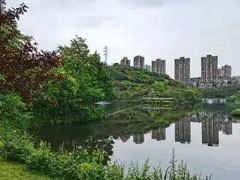 -重庆彩云湖湿地公园