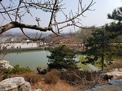 -北京西山国家森林公园