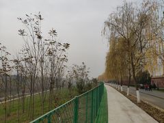 -洨河生态公园