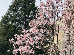-东华门大街小区