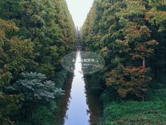 -黄海国家森林公园