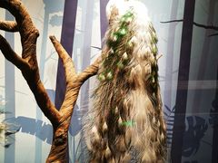 -陕西自然博物馆