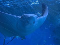-海合安成都极地海洋公园