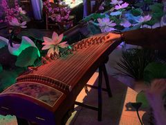 -韵秋荷(宝山龙湖天街店)