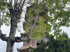 -福州开元寺