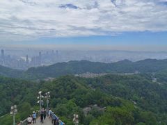 -大金鹰园