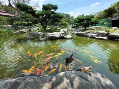 -扬州瘦西湖温泉