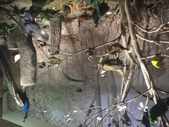 iphone_upload_pic-常州博物馆