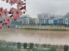 -李子坝梁山鸡(李子坝大鸡哥店)