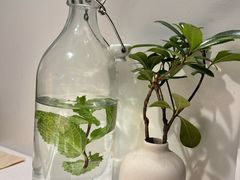 -春树下·树屋花房西餐厅(罍街AS1980店)