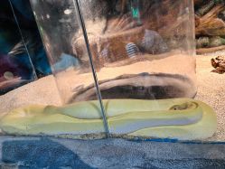 -Zoolung Zoolung动物主题公园(海信广场店)