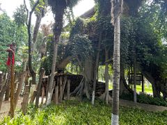-云南民族村