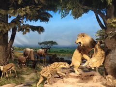 -国家自然博物馆