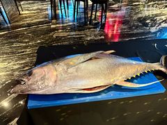 现开金枪鱼-西安W酒店·WEI全味西餐厅