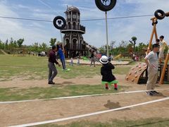 -上海长兴岛郊野公园