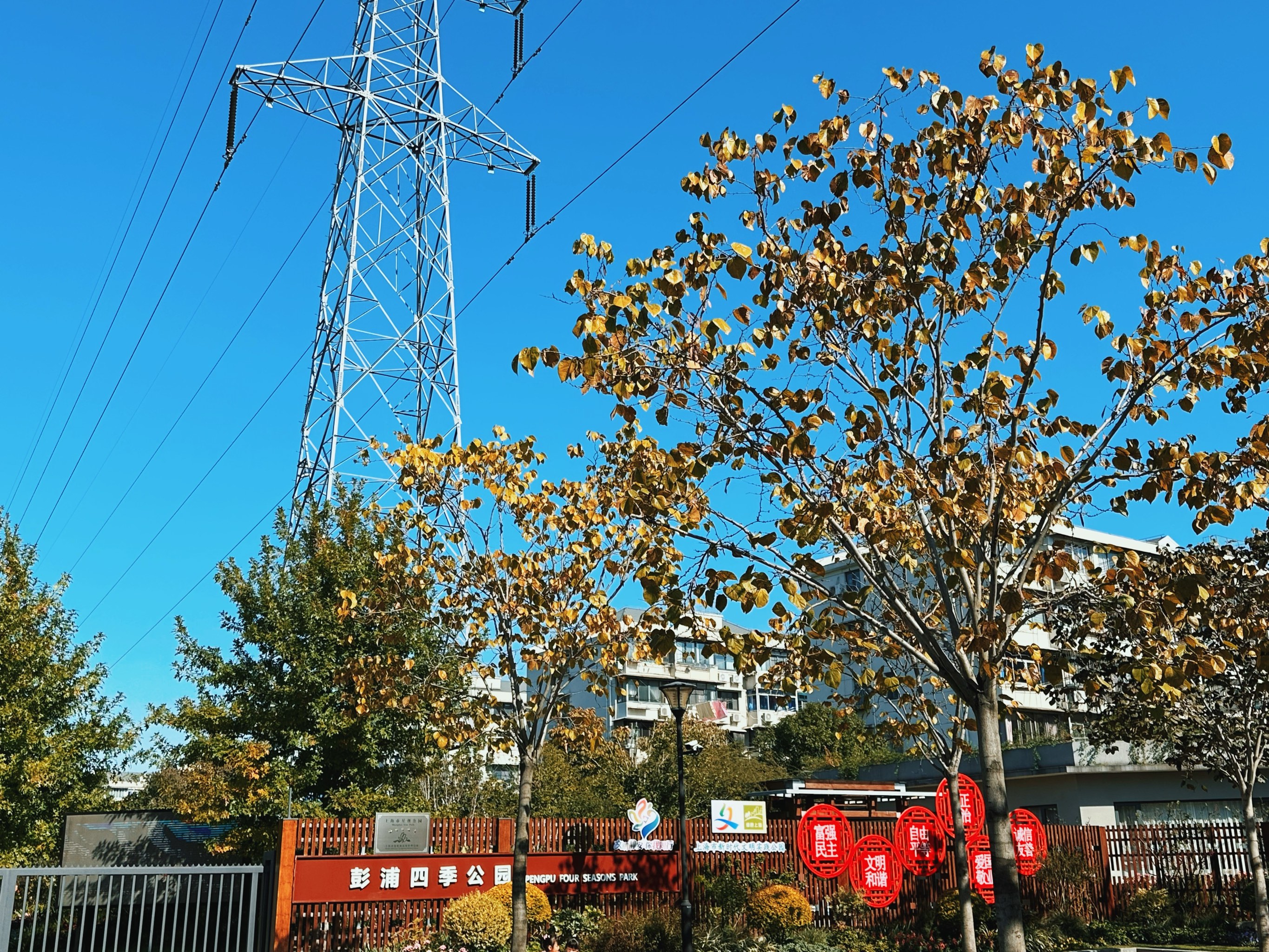 上海彭浦四季公园图片