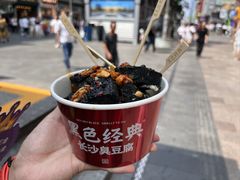 -黑色经典臭豆腐·湖南特产(潇湘文化店)