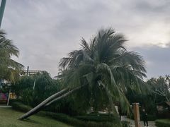 -三亚亚龙湾天域度假酒店