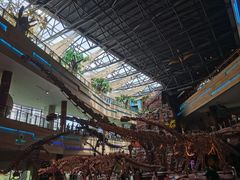 -安徽省地质博物馆