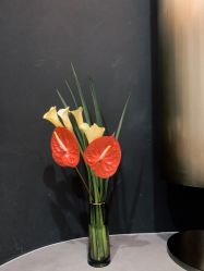 -宸山医美·变美艺术馆
