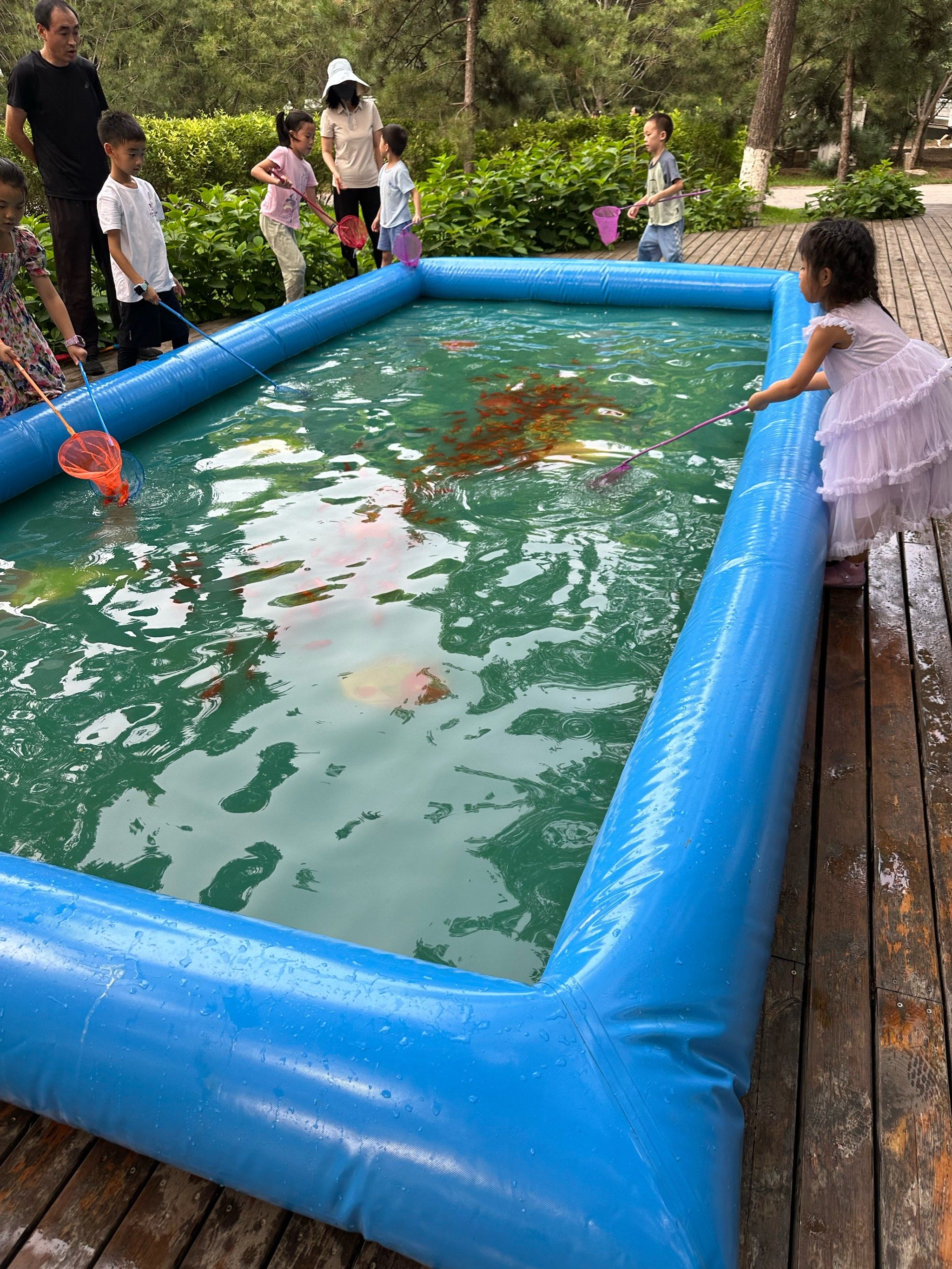 奥森北园捞鱼太实惠了