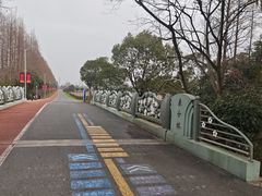 -上海长兴岛郊野公园