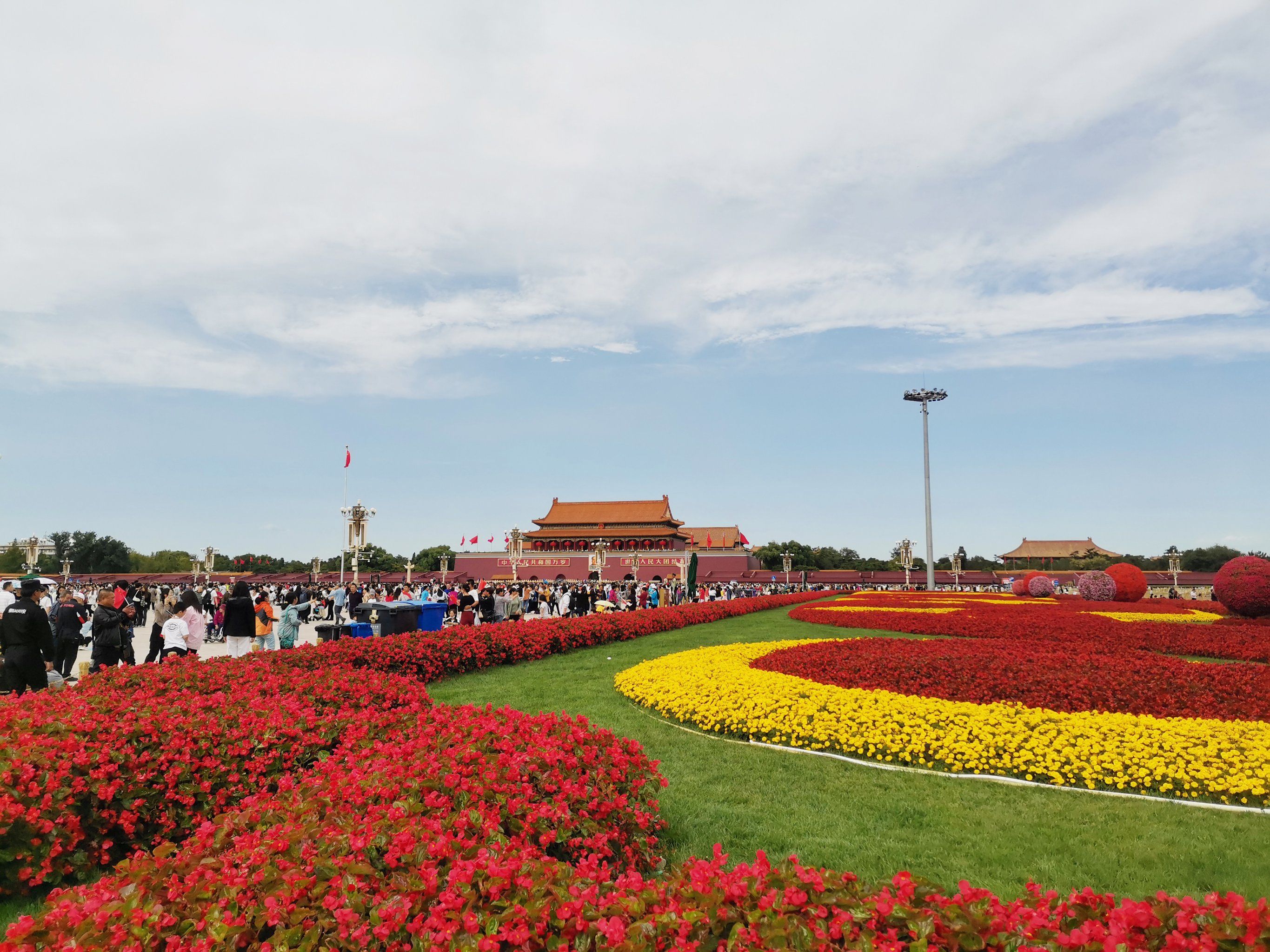 我是十一"特种兵"