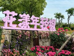 -春花秋色城市公园