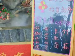 -蘑统田下·野生菌火锅
