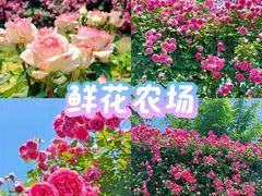 -栖露营camping·天幕烧烤·团建拓展·采摘营地