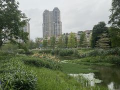 -顺峰山公园