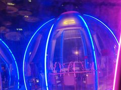 -南门四季铜锅涮肉(大屯·北苑店)