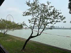 -无锡蠡湖国家湿地公园-蠡园