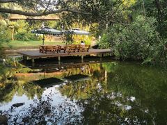 -海南热带野生动植物园