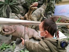 -国家自然博物馆