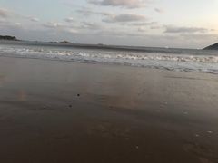 -金海湾海鲜排档(朱家尖店)