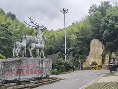 -长沙黑麋峰国家森林公园