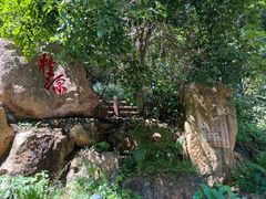-潜山国家森林公园