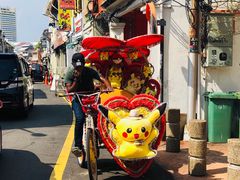 -马六甲鸡场街