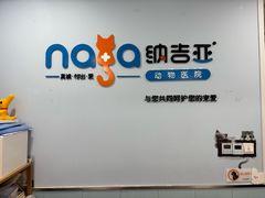 -纳吉亚猫专科动物诊疗中心(蒋宅口分院)