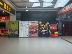 -大地院线珠江摩尔店(CL全景超级影院)