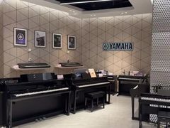 -知音艺术教育培训·钢琴培训·音乐培训(河西金鹰世界校区)