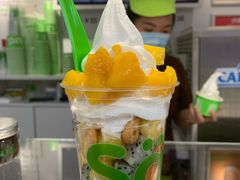 -Salud撒露欧洲冻酸奶(蓝色港湾店)